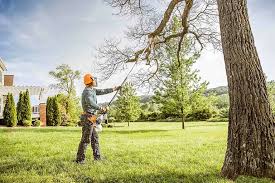 Best Arborist Consultation Services  in Belvedere Park, GA